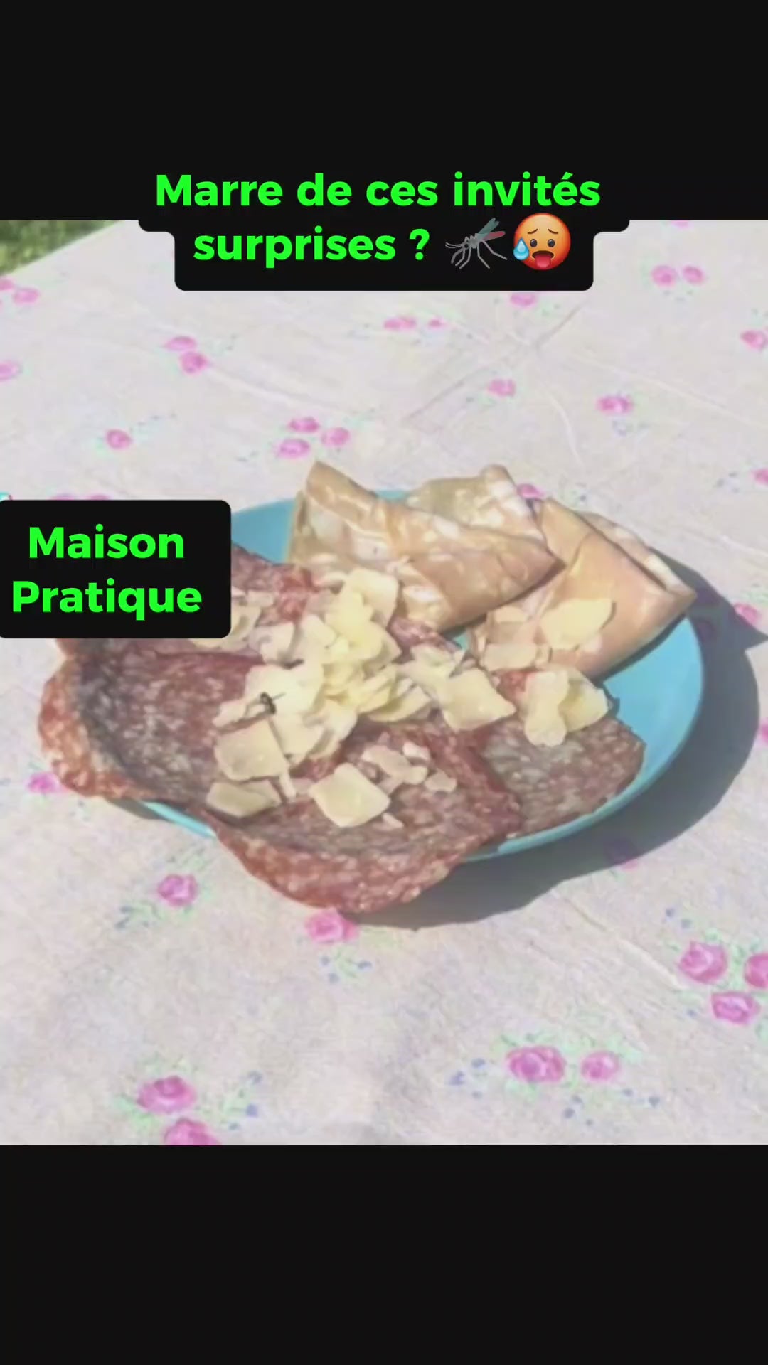 Cloche alimentaire anti-insectes en filet blanc posée pour un pique nique