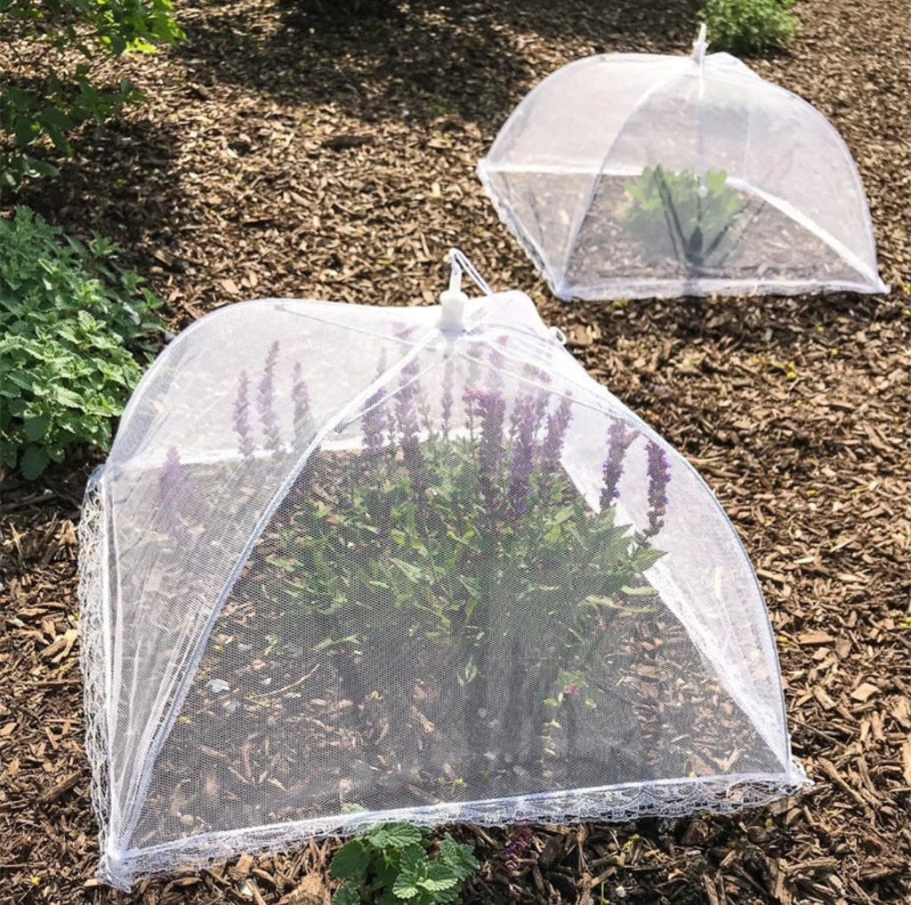 Cloche Fraîcheur Anti-Insectes  🌿