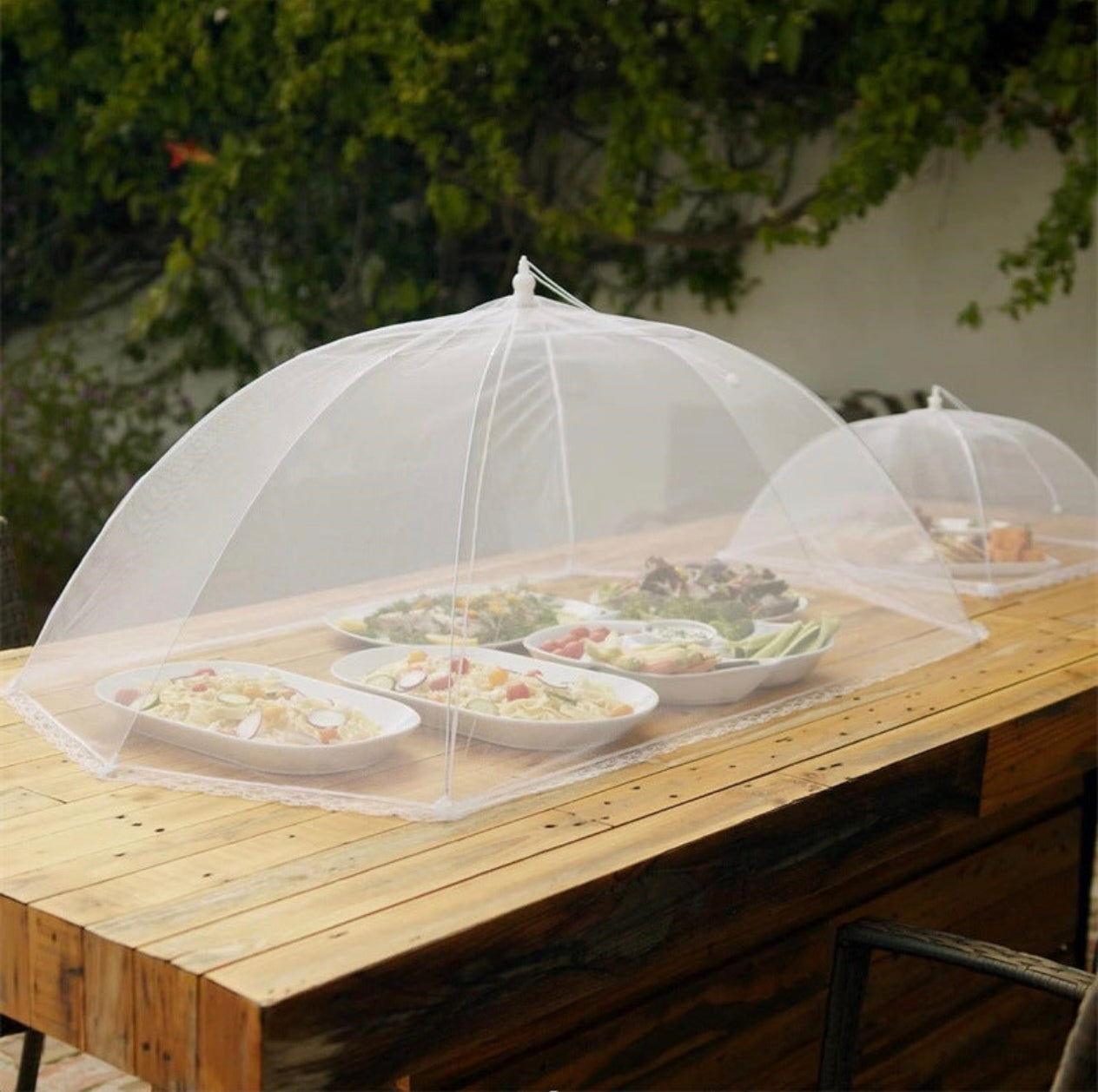 Cloche Fraîcheur Anti-Insectes  🌿